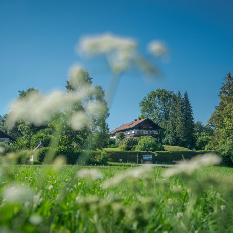 Holz_Wanderung &copy; Der Tegernsee_Dietmar Denger (2), &copy; Dietmar Denger