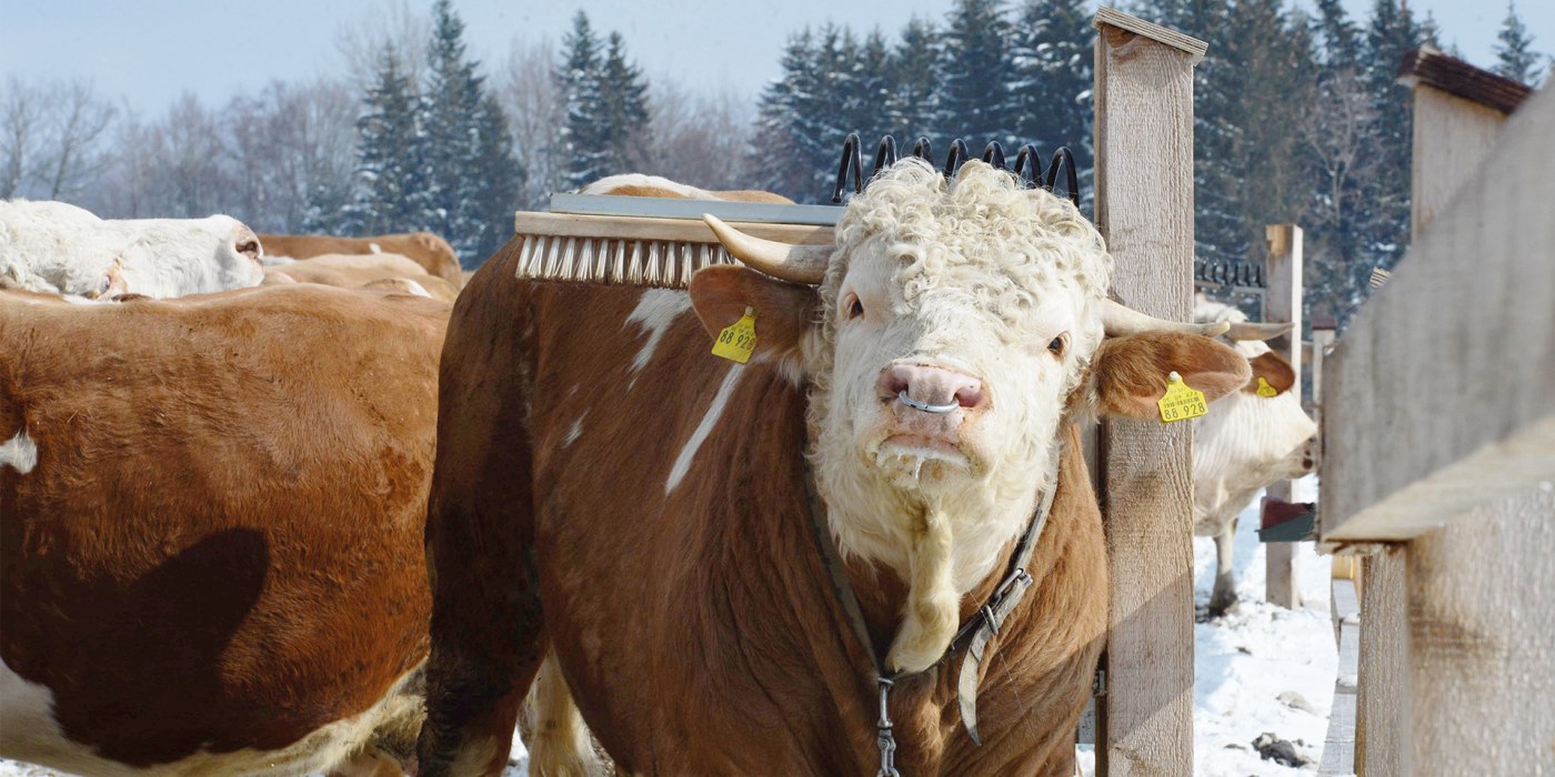 Biohof Beim Maner EKF Biohof Beim Maner EKF