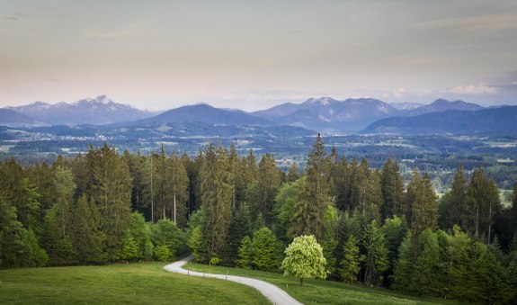 fruehling-shooting-2020-lowres_dietmar-denger-23