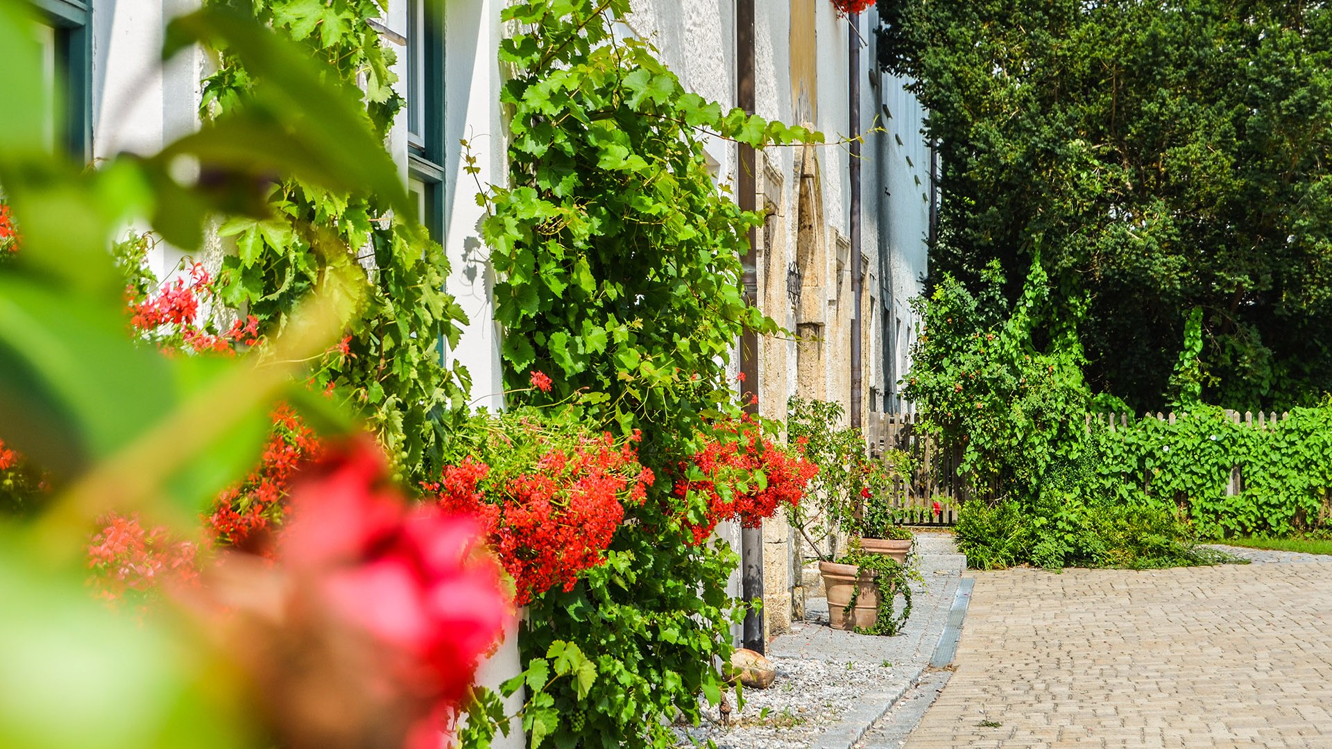 weyarn_kloster_sommer_fl_2016 weyarn_kloster_sommer_fl_2016