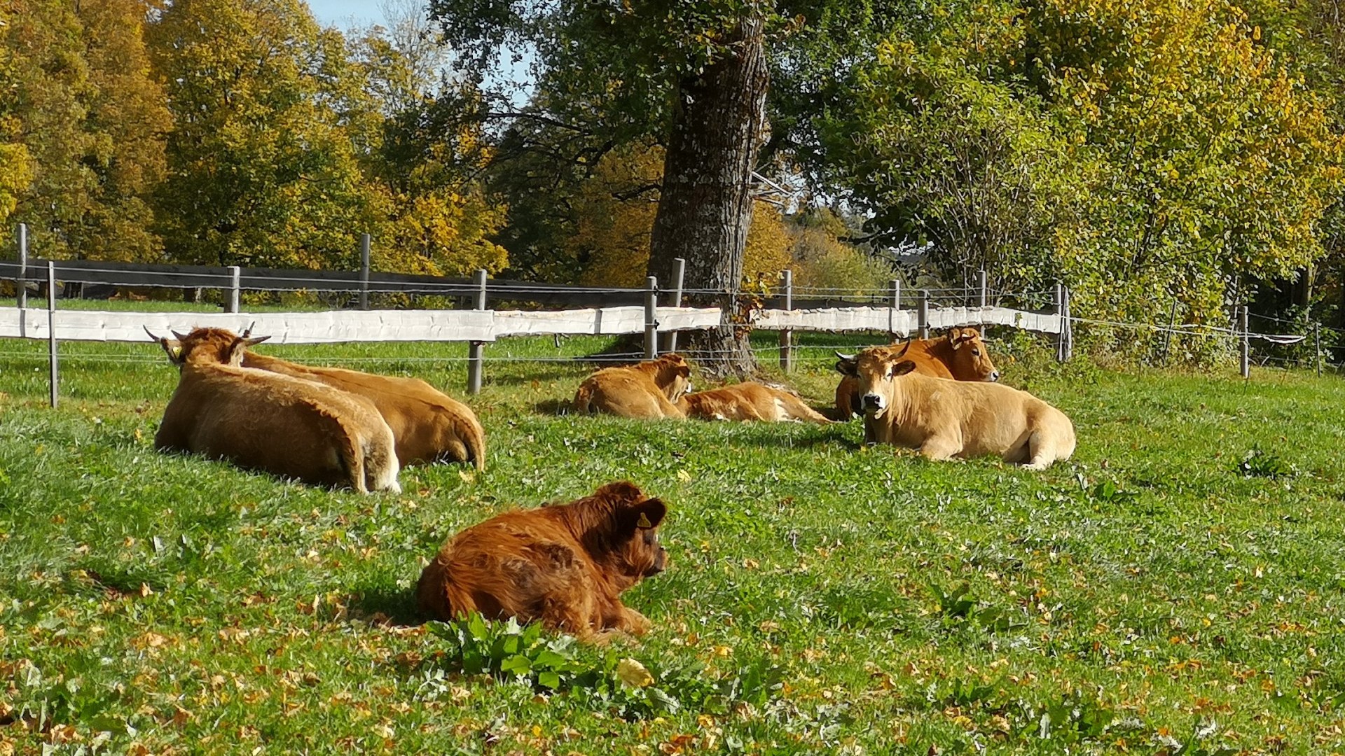 Hufnaglhof Ritter EKF Hufnaglhof Ritter EKF