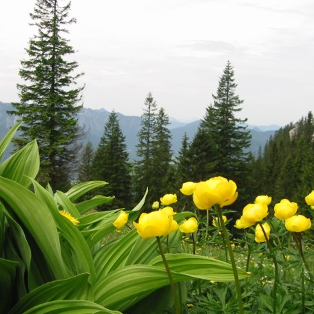 bilder-dialler-baerbel-058 bilder-dialler-baerbel-058