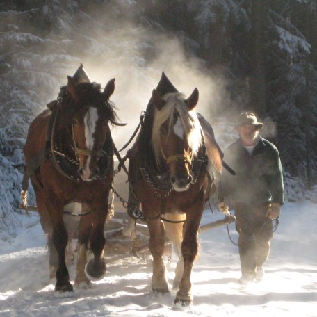 Pferde bei der Arbeit im Winter, © im-web.de/ Gäste-Information Schliersee in der vitalwelt schliersee