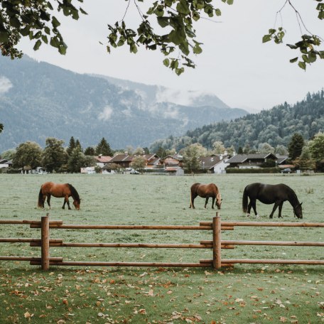 &copy; Parkhotel Egerner H&ouml;fe