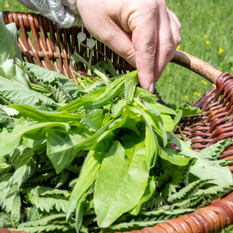 TTT_0624_TP_TegernseeTalk_Superfood_0031, &copy; TTT-Plettenberg