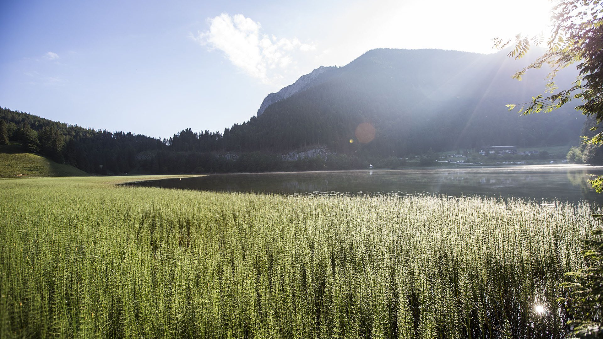 Landschaft Spitzingsee, © Hansi Heckmair