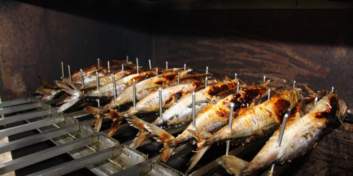 schauhi-mackerel-4705470