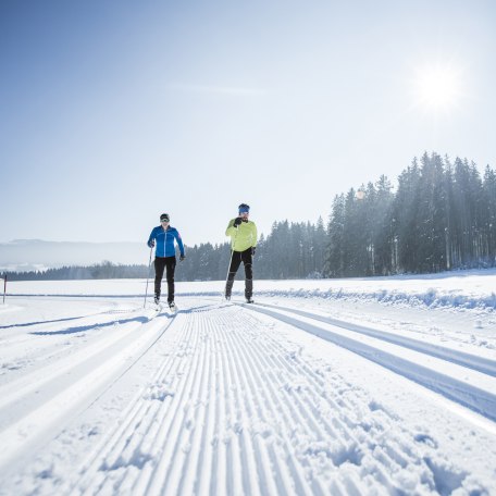 Langlauf Loipen Oberbayern Miesbach, © Hansi Heckmair
