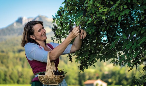 Kr&auml;uter-Kraft-Natur EKF