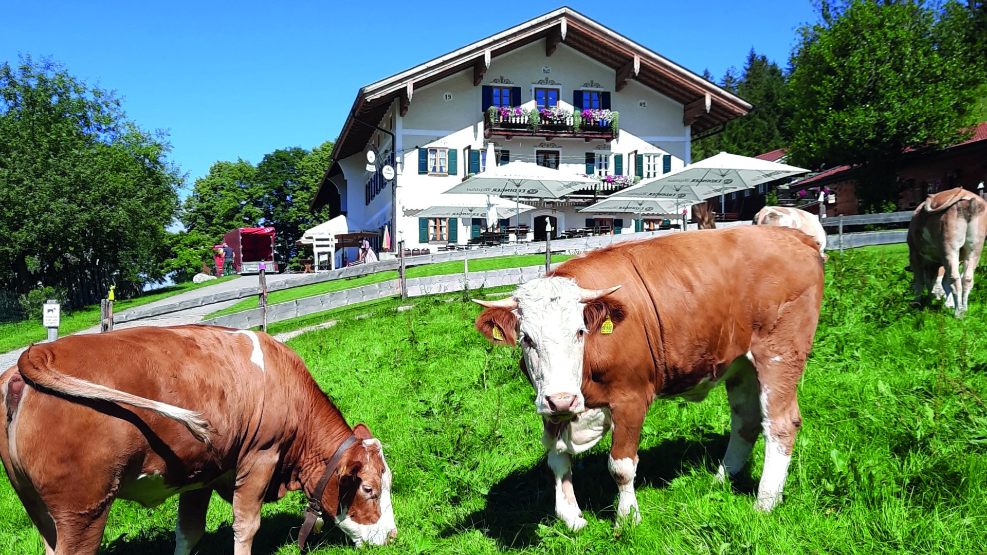 Bergcafe Siglhof EKF, © Winkler