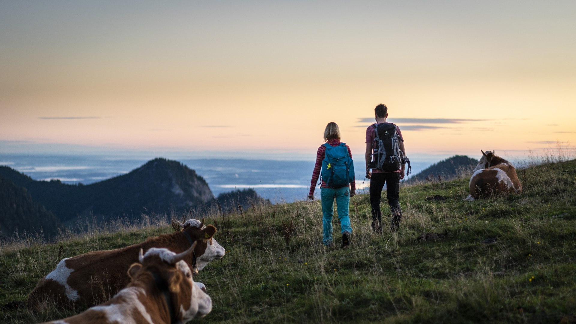 lowres-wandern-sudelfeld_dietmar-denger-1