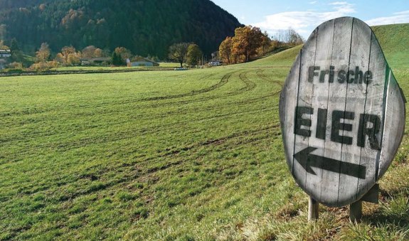 Hühnerhof Schliersee EKF