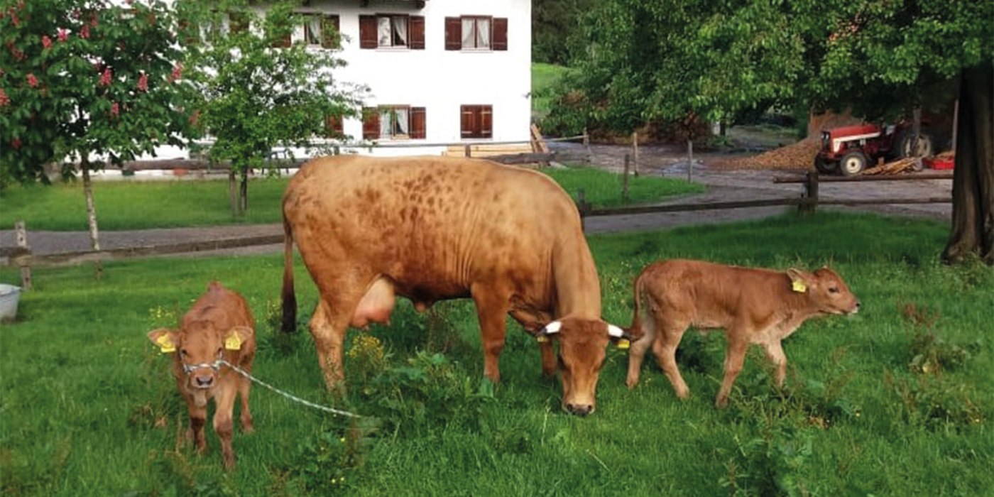 Beim Bau'rn EKF Beim Bau'rn EKF