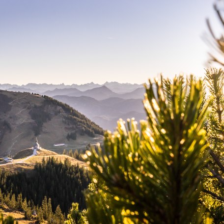 thf_presse_wanderung-wallberg-der-tegernsee_dietmar-denger_0006