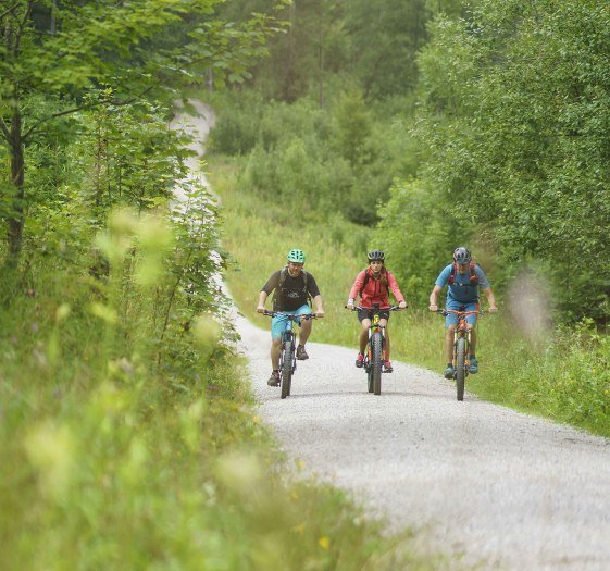 Idyllische Radwege führen durch die Alpenregion Tegernsee Schliersee, © Dietmar Denger