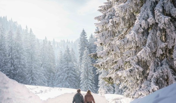Rodelbahn Untere Firstalm, © Alpenregion Tegernsee Schliersee