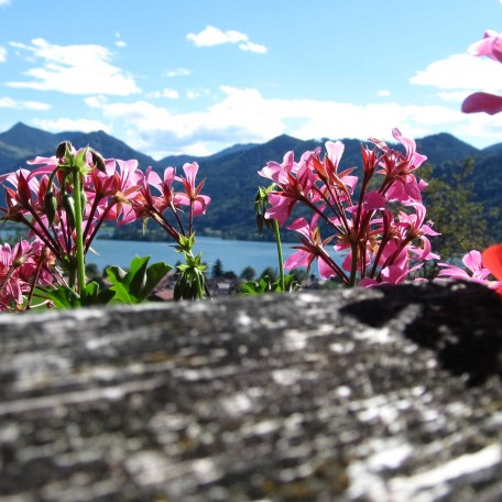 Aussicht, © im-web.de/ Gäste-Information Schliersee in der vitalwelt schliersee