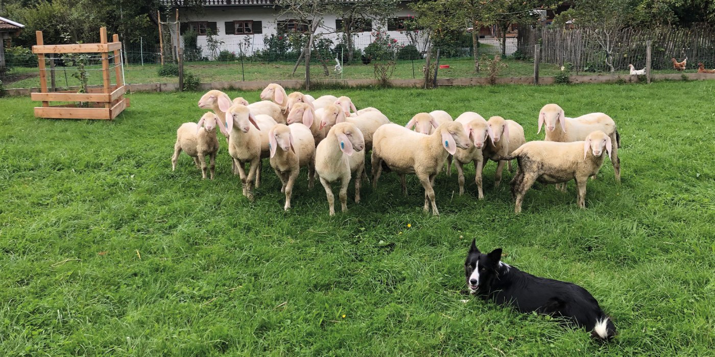 Birknerhof Warngau EKF