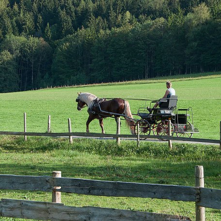 Ferienwohnungen Festlhof in Rottach-Egern am Tegernsee, © GERLIND SCHIELE PHOTOGRAPHY TEGERNSEE