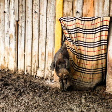 boarhof_mai19-15-1-von-1_1 boarhof_mai19-15-1-von-1_1