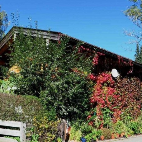 Blick auf die FeWo-Südseite im Herbst, © im-web.de/ Tourist-Information Gmund am Tegernsee