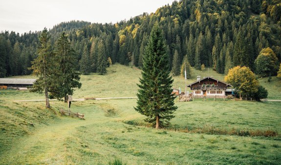 TTT_0823_JR_Herbstmomente_Kreuth-0009, &copy; Julian Rohn