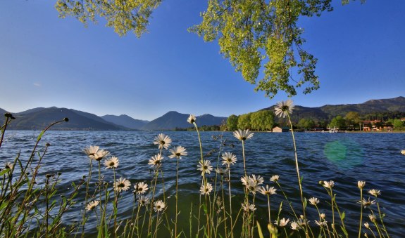 fruehlingserwachen02, &copy; Der Tegernsee
