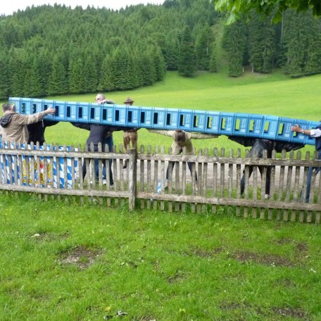 P1000048, &copy; Meet in Motion