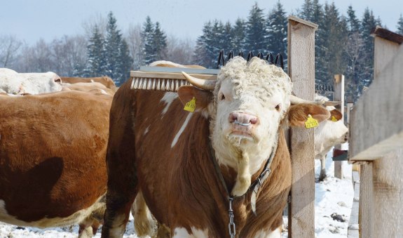 Biohof Beim Maner EKF