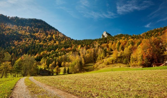 Leonhardstein, © Tegernseer Tal Tourismus GmbH