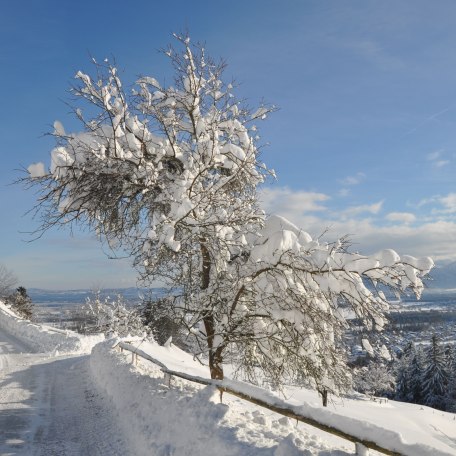 KoglHof, &copy; im-web.de/ Touristinformation Fischbachau