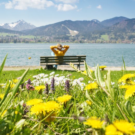 Entspannen am Tegernsee im Frühling, © Dietmar Denger