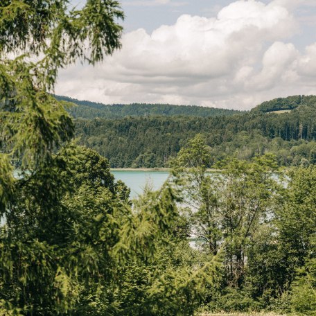 Blyb 9, &copy; Blyb. Hotel