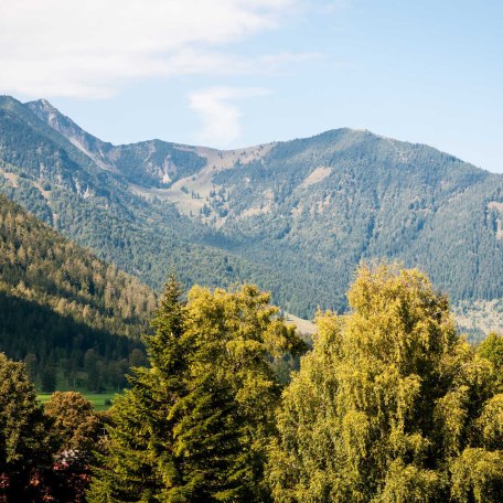 Aussicht auf die Berge, © im-web.de/ Tourist-Information Bayrischzell