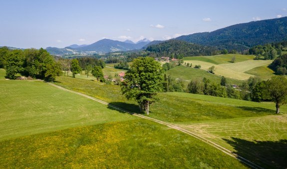 Blick Richtung Wendelstein, © Alpenregion Tegernsee Schliersee