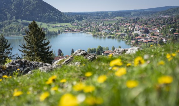 hohenwaldeck_dietmar-denger-1 hohenwaldeck_dietmar-denger-1