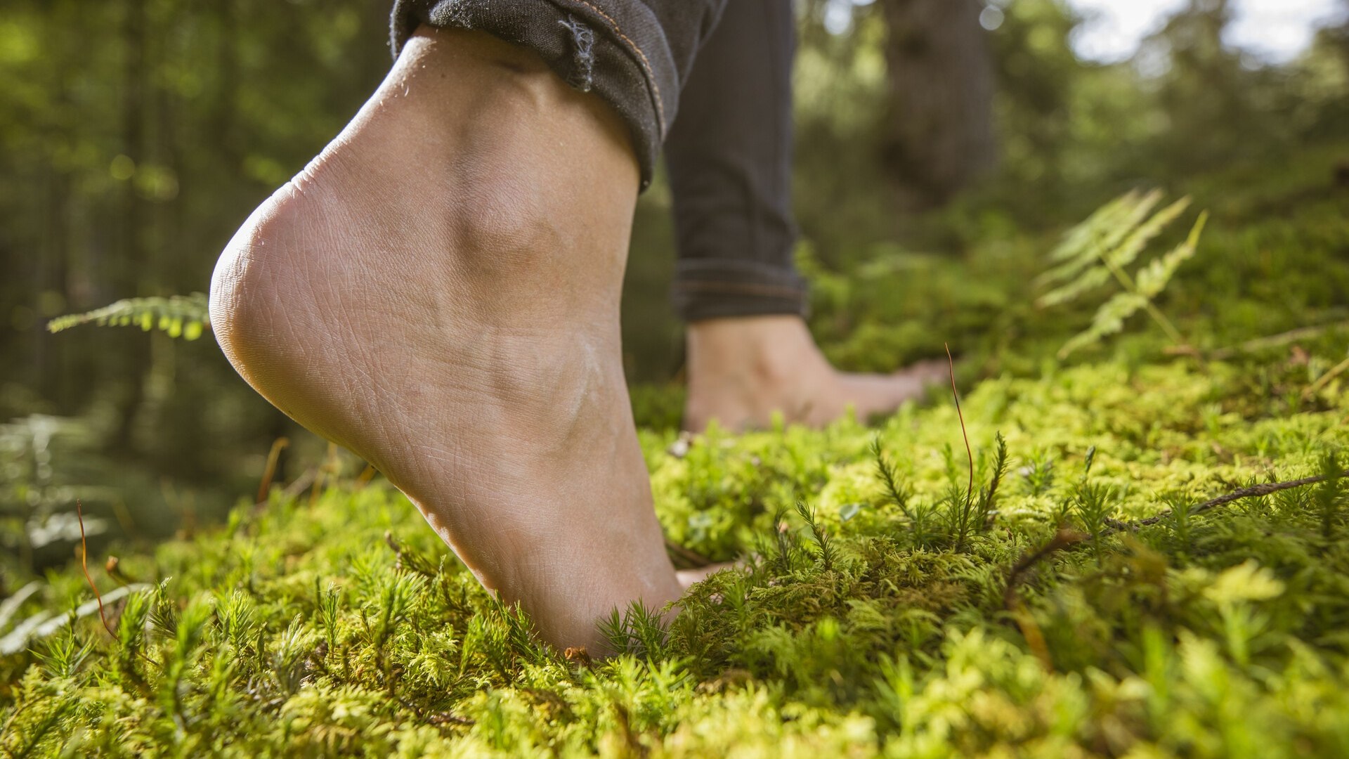 Gesundheit_Waldbaden, &copy; Dr. med. K. Kleinert