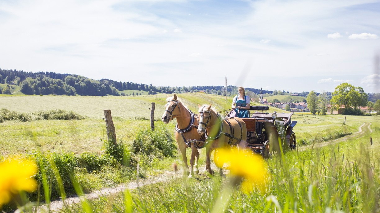 Kutschfahrt_SchlierseeWeb Kutschfahrt_SchlierseeWeb