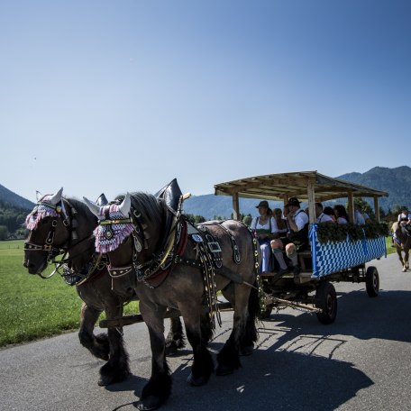 checkmair-8266 checkmair-8266