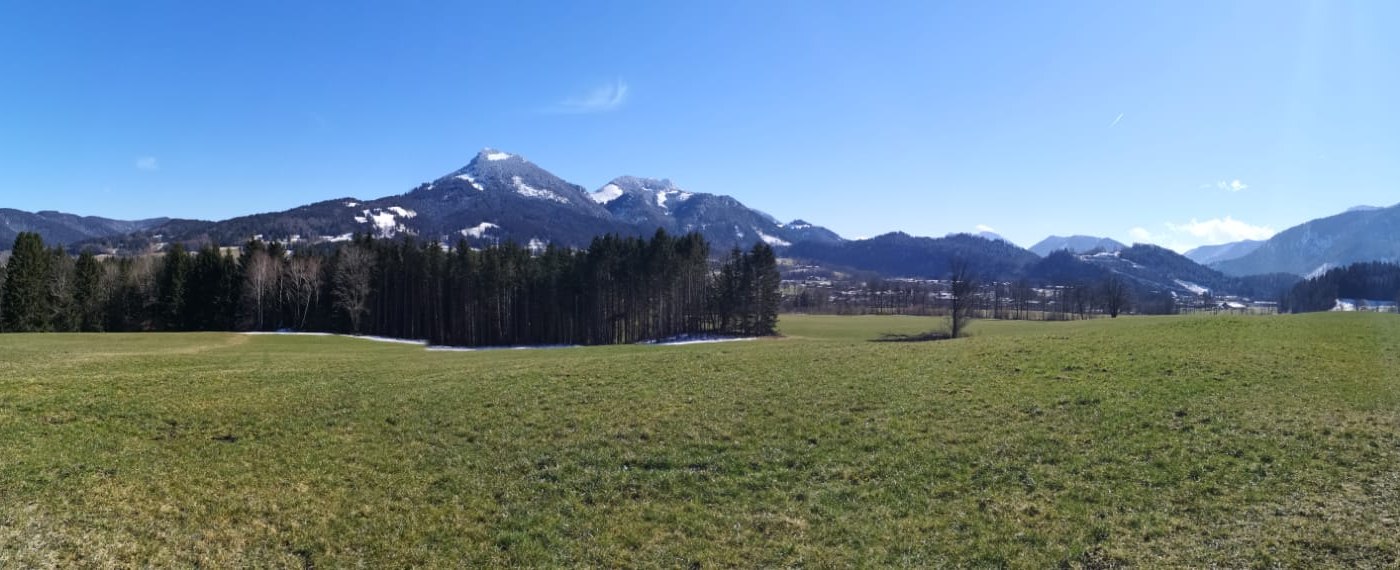 99c06907-fe35-4dbb-995f-dc4794434c68 99c06907-fe35-4dbb-995f-dc4794434c68