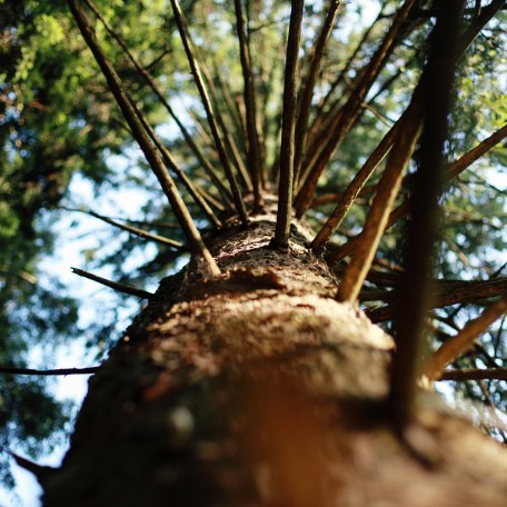 kletter-ostin-sommer-koy-034 kletter-ostin-sommer-koy-034