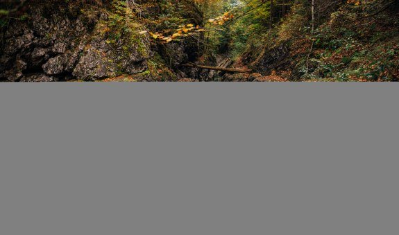 © DER TEGERNSEE, Juliaan Rohn_Schwarzenbach_0042, © DER TEGERNSEE