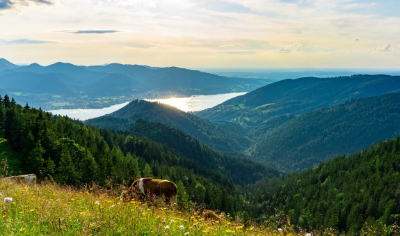 TTT_0719_StP_Aktiv_Wandern_Baumgartenschneid-0009, &copy; TTT-Plettenberg