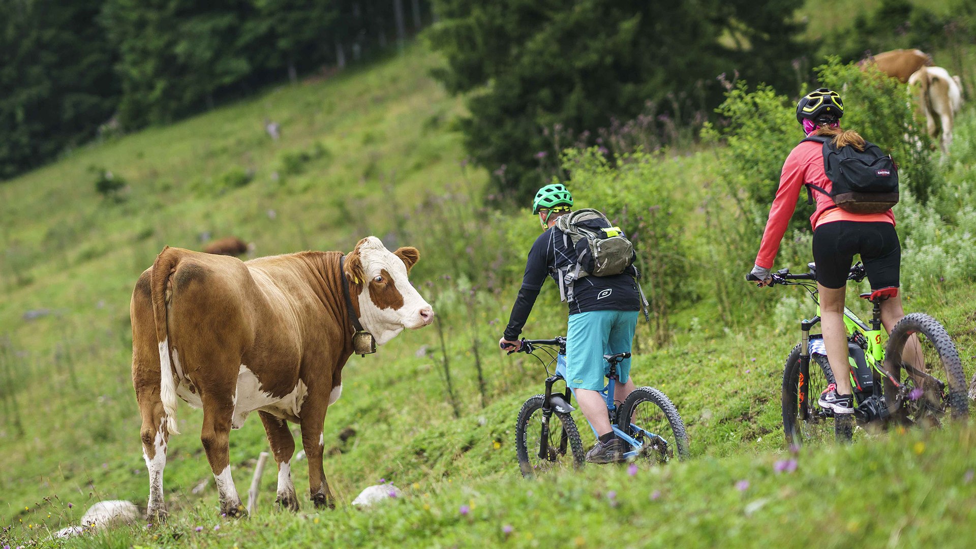 MTB Alm Radtour, © Dietmar Denger