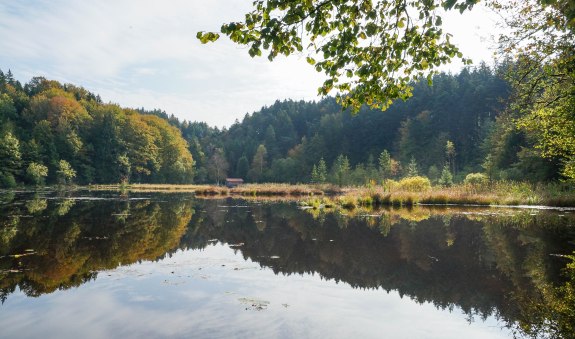 lightroom-70-von-108 lightroom-70-von-108