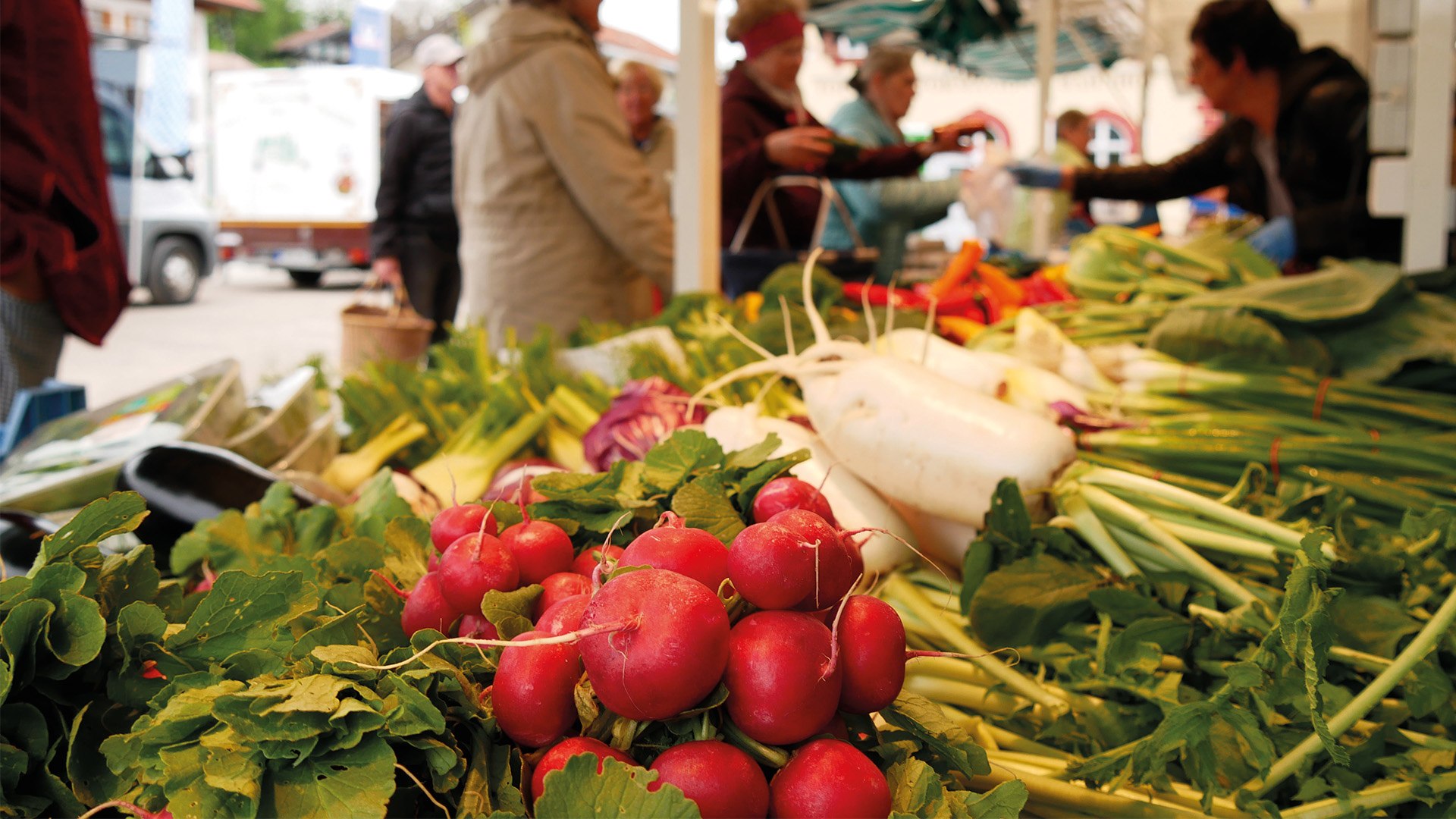 Gmunder Wochen- und Bauernmarkt EKF