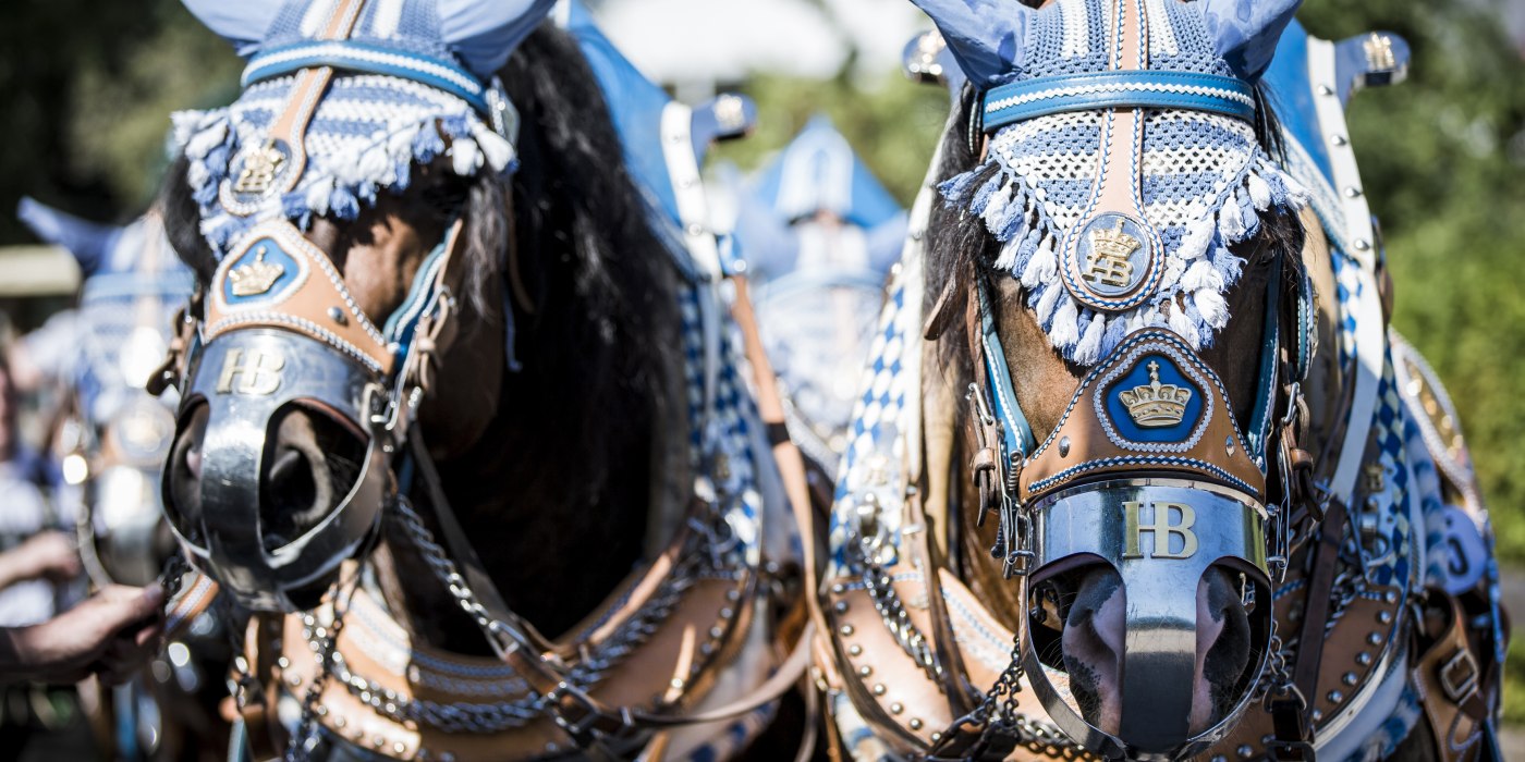 checkmair-79731 checkmair-79731