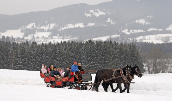 pferdeschlitten_1 pferdeschlitten_1