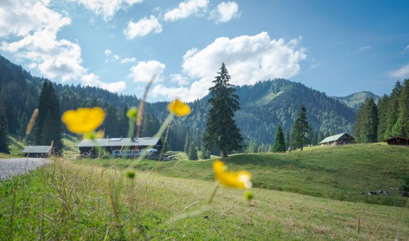 Die Schwarzentenn-Alm, © Der Tegernsee