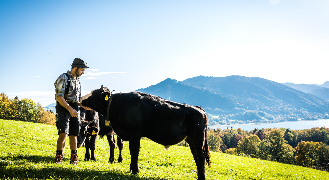 Buchberghof EKF Buchberghof EKF